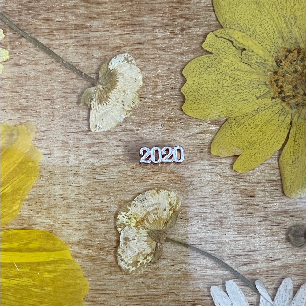 Origami Owl 2020 charm